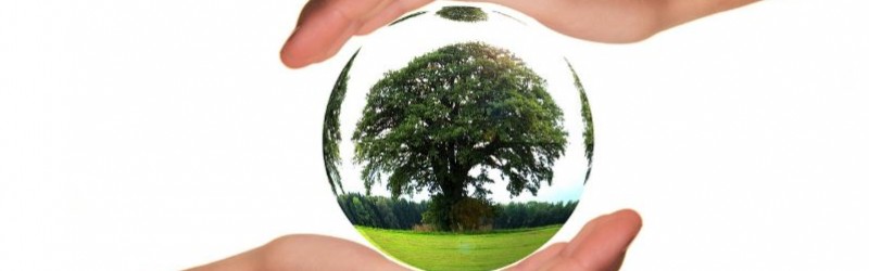 Why choose biodegradable and compostable disposable products?