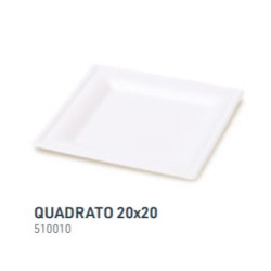Disposable biodegradable and compostable square dinner plate in cellulose pulp 20x20- 50pcs