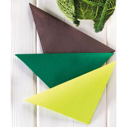 Biodegradable and Compostable Napkins