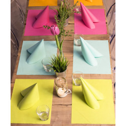 Placemats Biodegradable and Compostable