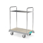 Luggage Carts