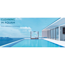 Swimming Pool Sanitation