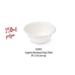 Disposable small bowl Ø 11.5 cm in cellulose pulp 250 mL - 50 pcs